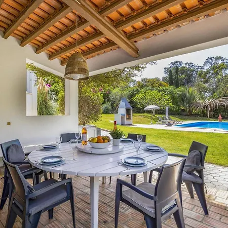 Amoreira By לגואה